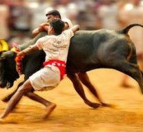 ஜல்லிக்கட்டு அனுமதி சட்டம்: அரசிதழில் வெளியீடு