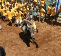 ஜல்லிக்கட்டு சட்டம் அரசிதழில் வெளியீடு