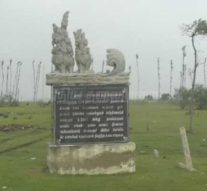 சுனாமி பேரிடர் தடுப்பாக நடப்பட்ட மரங்கள் எங்கே?