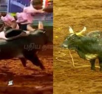 அலங்காநல்லூரில் சிறந்த காளை, காளையருக்கு கார் பரிசு!