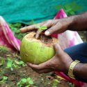 இளநீரில் செடி வளர்க்கலாம்… ப்ளாஸ்டிக்கைத் தவிர்க்க அழகான மாற்றுவழி!