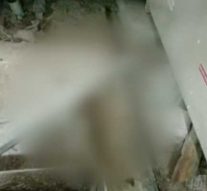 குடிபோதையில் 9 குட்டி நாய்களை துடி துடிக்க கொன்ற கொடூர மனிதர்..!