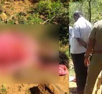 வனப்பகுதியில் பெண்ணுக்கு நேர்ந்த கொடூரம் – மோப்ப நாயால் சிக்கிய தடயம்!