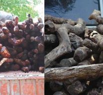 ஒரே நாளில் ரூ.60 லட்சம் செம்மரக்கட்டைகள் பறிமுதல்