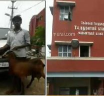 சென்னையில் காரில் வந்து ஆடுகளை திருடும் நூதன திருடர்கள்