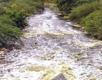 சென்னைக் குடிநீரில் திருப்பூர் சாயக்கழிவு? – நொய்யல் விபரீதம்