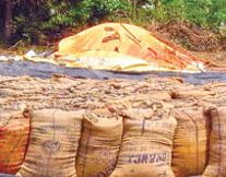 மழையில் நனையும் நெல் மூட்டைகள்… வேடிக்கை பார்க்கும் டெல்டா அமைச்சர்கள்!
