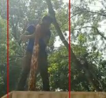 சரக்கு வேனில் ரகசிய அறை… கடத்தல்காரர்கள் 3 பேர் கைது