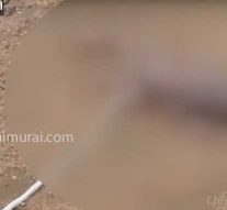 திருச்சியில் நாயிடம் இருந்து மீட்கப்பட்ட பச்சிளம் குழந்தை