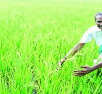நெல் ஜெயராமனுக்கு சொந்த ஊரில் மக்கள் அஞ்சலி !