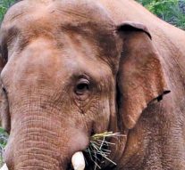 'தினசரி நாயகன்' சின்னதம்பி : அமைச்சர் திண்டுக்கல் சீனிவாசன் விளக்கம் 