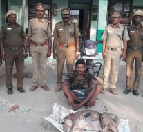 புள்ளிமானை வேட்டையாடியவர் கைது