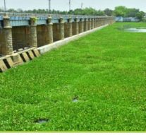 தமிழகத்தின் ஈரம்: தூத்துக்குடி, திருச்சி
