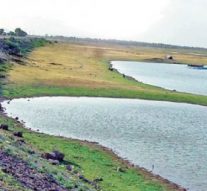 தமிழகத்தின் ஈரம்: விழுப்புரம், வேலூர், திருவாரூர்