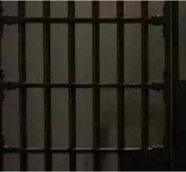 ஸ்ரீவில்லி. | மனவளர்ச்சி பாதித்த சிறுவனுக்கு பாலியல் தொல்லை அளித்தவருக்கு 20 ஆண்டு சிறை