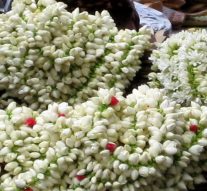 மதுரை மல்லிகை பூக்களுக்கு சிறப்புத் திட்டம்! மலர்கள் சாகுபடிக்கு நிதி ஒதுக்கீடு!