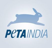 'PETA' என கூகுளில் தேடினால் ஆபாச படங்கள் வருவதாக புகார்